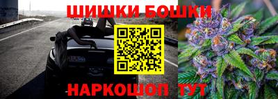 индика Кулебаки