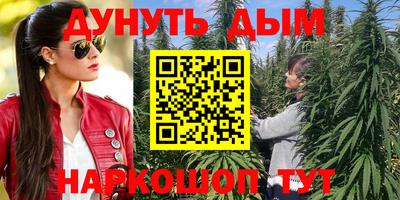 индика Кулебаки