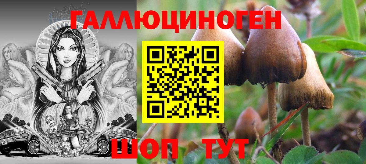 Псилоцибиновые грибы Magic Shrooms Кизилюрт