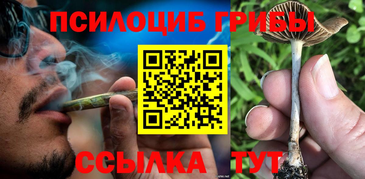 Кизилюрт  Галлюциногенные грибы Magic Shrooms  наркотики  Вход с VPN 